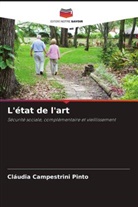 Cláudia Campestrini Pinto - L'état de l'art