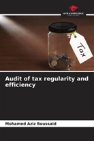Mohamed Aziz Boussaid - Audit of tax regularity and efficiency