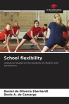 Denis A. de Camargo, Daniel de Oliveira Eberhardt - School flexibility