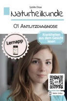 Sybille Disse, Sybille Disse - Naturheilkunde Band 01: Antlitzdiagnose