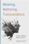 Vernon White - Meaning, Mattering, Transcendence