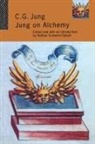 C G Jung, C. G. Jung, C.G. Jung, Nathan Schwarz-Salant - Jung on Alchemy