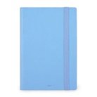 Tageskalender Medium - 2024 - Medium Daily Diary - 12M - Blue