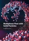 Pawel Kosinski, Pawel (Universitetet I Bergen Kosinski - Multiphase Flow With Solid Particles