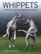 Pam Marston-Pollock - Whippets