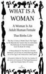 Love Life Lee - What Is A Woman