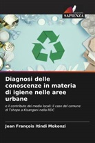 Jean François Itindi Mokonzi - Diagnosi delle conoscenze in materia di igiene nelle aree urbane