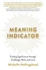 Michelle Hollingshead - Meaning Indicator