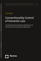 Yota Negishi - Conventionality Control of Domestic Law