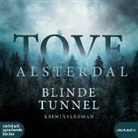 Tove Alsterdal, Sandra Voss, Hanna Granz - Blinde Tunnel, 1 Audio-CD, MP3 (Hörbuch)