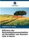 Idelphonse O Saliou, Idelphonse O. Saliou - Effizienz der Reissaatgutsammelstellen im Perimeter von Koussin-Lélé in Benin