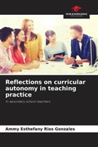 Ammy Esthefany Rios Gonzales - Reflections on curricular autonomy in teaching practice