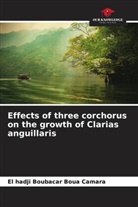 El hadji Boubacar Boua Camara - Effects of three corchorus on the growth of Clarias anguillaris