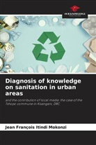 Jean François Itindi Mokonzi - Diagnosis of knowledge on sanitation in urban areas