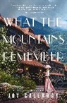 Joy Callaway - What the Mountains Remember