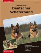 Mirko Velantek - Traumrasse: Deutscher Schäferhund