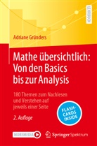Adriane Gründers - Mathe übersichtlich: Von den Basics bis zur Analysis, m. 1 Buch, m. 1 E-Book