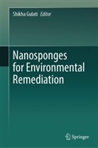 Shikha Gulati - Nanosponges for Environmental Remediation