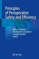 Jamal J Hoballah, Jamal J. Hoballah, Haytham M. A. Kaafarani, Haytham MA Kaafarani, Haytham M A Kaafarani, Haytham MA Kaafarani... - Principles of Perioperative Safety and Efficiency