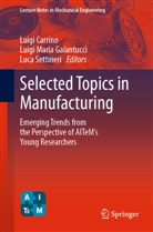Luigi Carrino, Luigi Maria Galantucci, Luigi Maria Galantucci, Luca Settineri - Selected Topics in Manufacturing