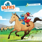 Sebastian Rochlitzer - Wildpferde in Gefahr - Folge 4, Audio-CD (Audio book)