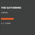 C J Tudor, C. J. Tudor - The Gathering
