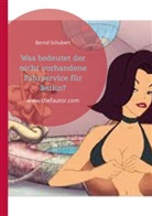 Bernd Schubert - Was bedeutet der nicht vorhandene Fahrservice für Berlin?
