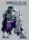 Jeph Loeb, Loeb Jeph, Tim Sale, Sale Tim - Jeph Loeb & Tim Sale: Hulk Gallery Edition