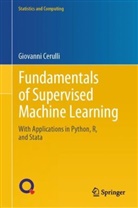 Giovanni Cerulli - Fundamentals of Supervised Machine Learning