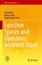 José Bonet, David Jornet, Pablo Sevilla-Peris - Function Spaces and Operators between them