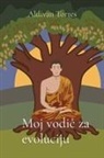 Aldivan Teixeira Torres - Moj vodi¿ za evoluciju