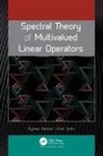 Aymen Ammar, Aref Jeribi - Spectral Theory of Multivalued Linear Operators