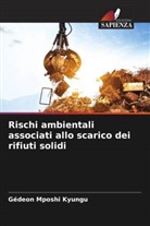 Gédeon Mposhi Kyungu - Rischi ambientali associati allo scarico dei rifiuti solidi