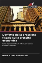 Milton H. de Carvalho Filho - L'effetto della pressione fiscale sulla crescita economica