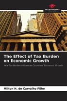 Milton H. de Carvalho Filho - The Effect of Tax Burden on Economic Growth