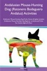 David Ball - Andalusian Mouse-Hunting Dog (Ratonero Bodeguero Andaluz) Activities Andalusian Mouse-Hunting Dog Tricks, Games & Agility Includes