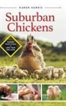 Karen Harris - Suburban Chickens