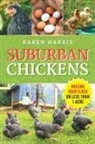 Karen Harris - Suburban Chickens