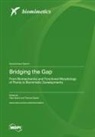 Bridging the Gap