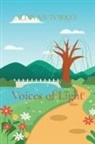 Aldivan Teixeira Torres - Voices of Light