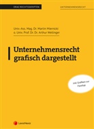 René Dzoja, Markus Edelsbrunner, Jakob Fenz, Robin Fischbacher, Matthias Formann, Gregor Grundei... - Unternehmensrecht grafisch dargestellt
