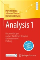 Martin Brokate, Florian Lindemann, Johannes Zimmer - Analysis 1, m. 1 Buch, m. 1 E-Book