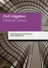 Lucilla Macgregor, Lucilla (Solicitor (Non-Practising) Macgregor, Charlotte Peacey, Georgina Ridsdale - Civil Litigation