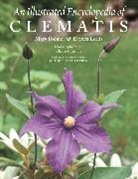 Mary K. Toomey, Everett Leeds, Everett K. Toomey Leeds, Mary K. Toomey - Illustrated Encyclopedia of Clematis