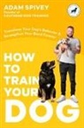 Adam Spivey - How to Train Your Dog