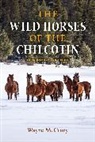 Wayne McCrory - The Wild Horses of the Chilcotin