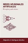 Alejandro E. Rodríguez-Sánchez - Redes neuronales artificiales: Principios y aplicaciones
