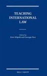 Peter Hilpold - Teaching International Law