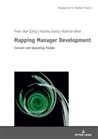 Piotr Olaf _ylicz, Piotr Olaf ¿Ylicz, Piotr Olaf Zylicz - Mapping Manager Development