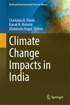 Kanak N. Moharir, Kanak N Moharir, Abdelazim Negm, Chaitanya Pande, Chaitanya B. Pande - Climate Change Impacts in India